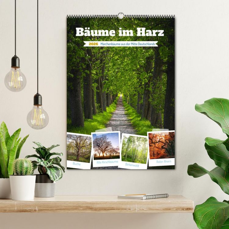 Produktbild: B&auml;ume im Harz (Wandkalender 2026 DIN A2 hoch), CALVENDO Monatskalender