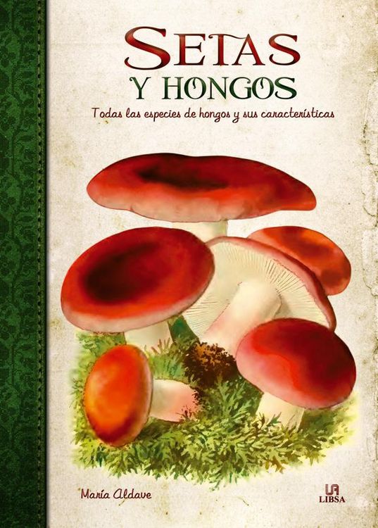 Produktbild: Setas y hongos
