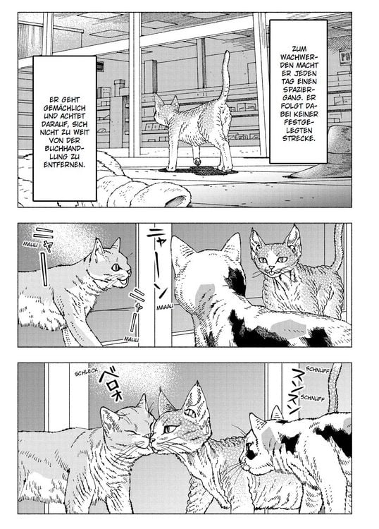 Produktbild: Night of the Living Cat 04 - Die Katze aus einer anderen Welt - D-Rex