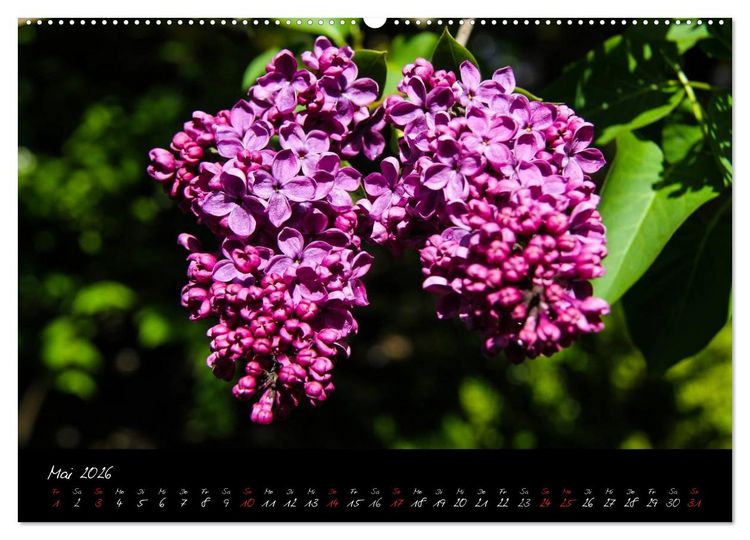 Produktbild: Butchart Gardens 2026 (hochwertiger Premium Wandkalender 2026 DIN A2 quer), Kunstdruck in Hochglanz