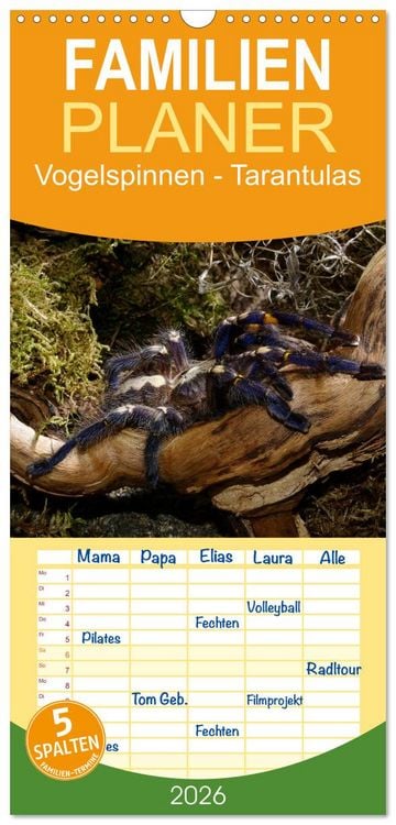 Produktbild: Familienplaner 2026 - Vogelspinnen - Tarantulas mit 5 Spalten (Wandkalender, 21 x 45 cm) CALVENDO