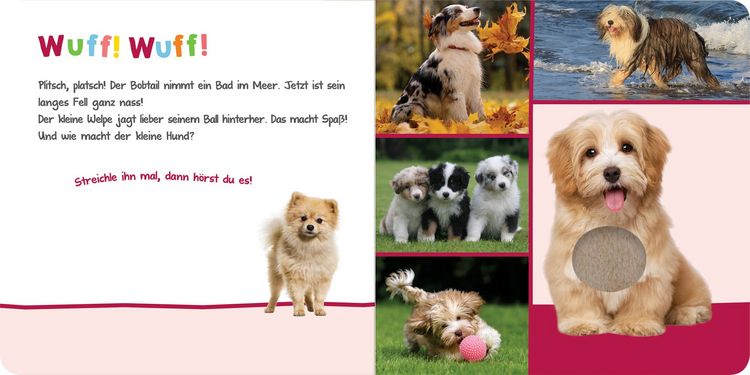 Produktbild: H&ouml;r mal rein, wer kann das sein? &ndash; Kuschelige Tiere