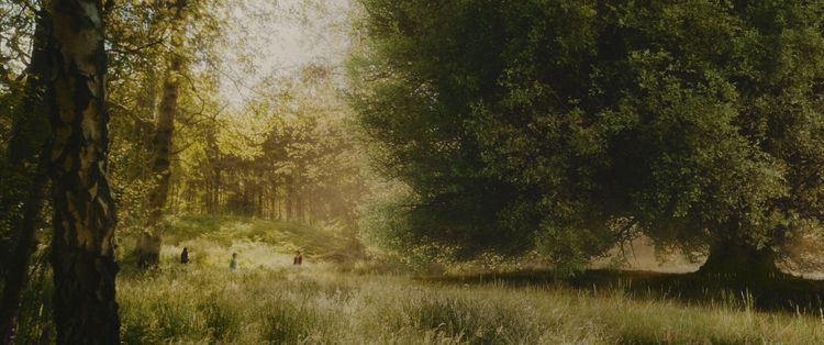 Produktbild: Der Wunderweltenbaum