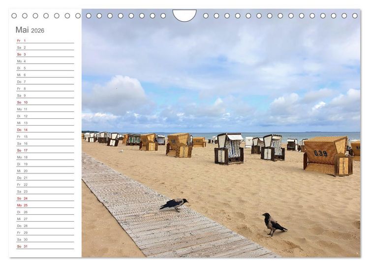 Produktbild: Fehmarn, R&uuml;gen und Usedom - Impressionen von den drei gro&szlig;en Ostseeinseln (Wandkalender 2026 DIN A4 quer), CALVENDO Monatskalender