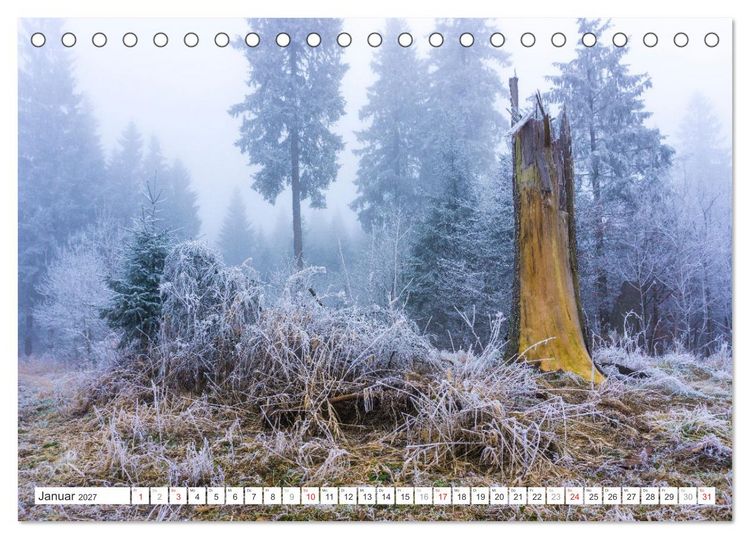 Produktbild: Deutschlands Regionen - der Harz (Tischkalender 2027 DIN A5 quer), CALVENDO Monatskalender