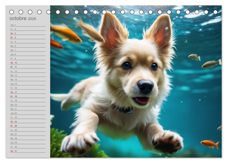 Produktbild: Chiens : les nageurs intr&eacute;pides (Calendrier de bureau 2026 DIN A5 vertical), CALVENDO calendrier mensuel