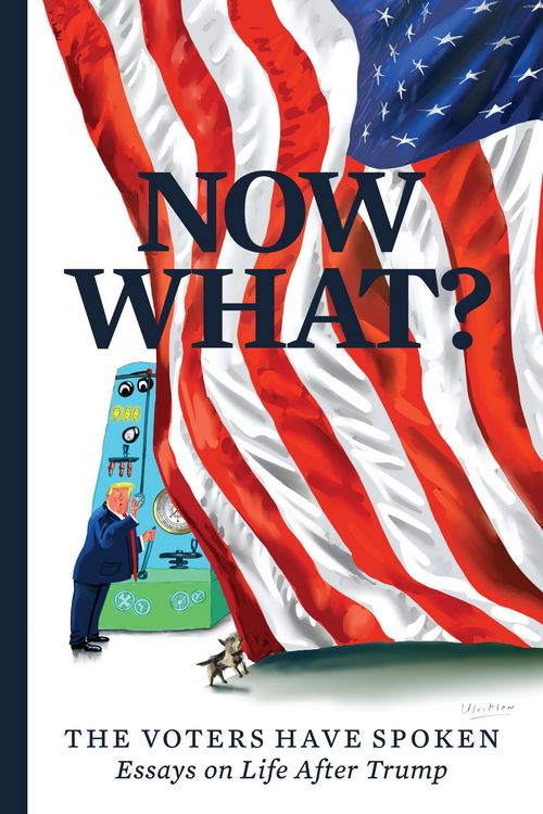 Produktbild: Now What?