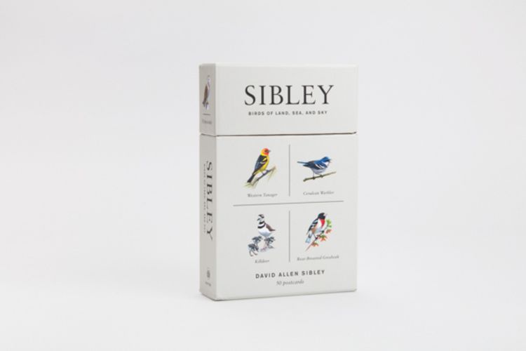 Produktbild: Sibley Birds of Land, Sea, and Sky