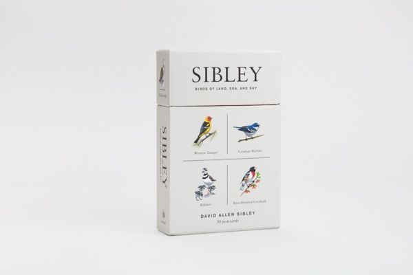 Produktbild: Sibley Birds of Land, Sea, and Sky