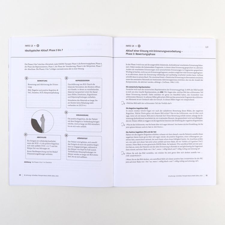 Produktbild: Therapie-Basics EMDR