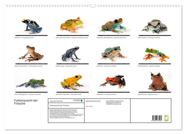 Produktbild: Farbenpracht der Fr&ouml;sche (Wandkalender 2026 DIN A2 quer), CALVENDO Monatskalender