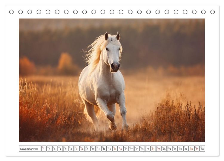 Produktbild: Magie der Wildnis (Tischkalender 2026 DIN A5 quer), CALVENDO Monatskalender