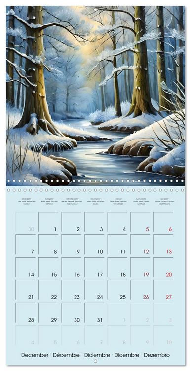 Produktbild: The forest through the seasons (Wall Calendar 2026 12 &times; 12 Inch) CALVENDO 12 Month Wall Calendar