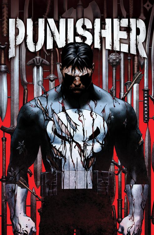Produktbild: Punisher Vol. 1