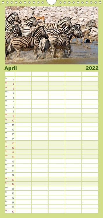 Produktbild: Familienplaner Zebras - Faszination der Wildnis (Wandkalender 2022 , 21 cm x 45 cm, hoch)