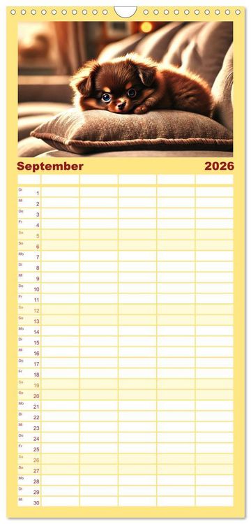 Produktbild: Familienplaner 2026 - Chihuahua-Welpen &ndash; Kleine Wunder mit 5 Spalten (Wandkalender, 21 x 45 cm) CALVENDO