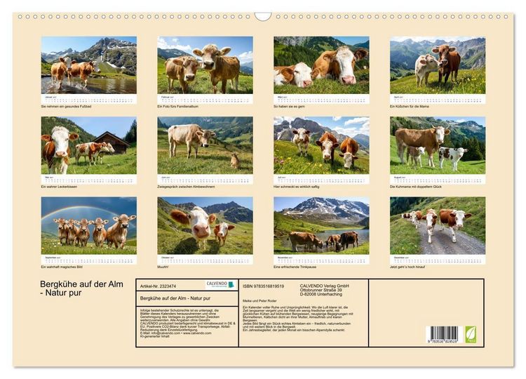 Produktbild: Bergk&uuml;he auf der Alm - Natur pur (Wandkalender 2027 DIN A2 quer), CALVENDO Monatskalender