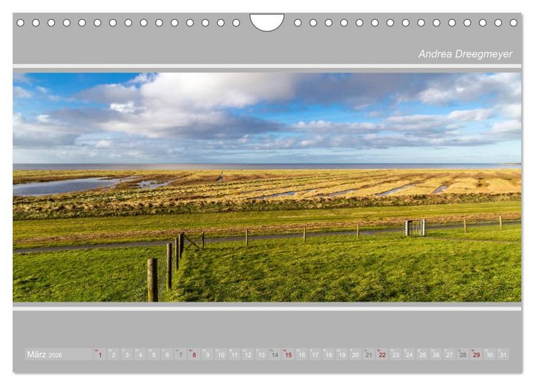 Produktbild: Krummh&ouml;rn im Panorama-Format (Wandkalender 2026 DIN A4 quer), CALVENDO Monatskalender