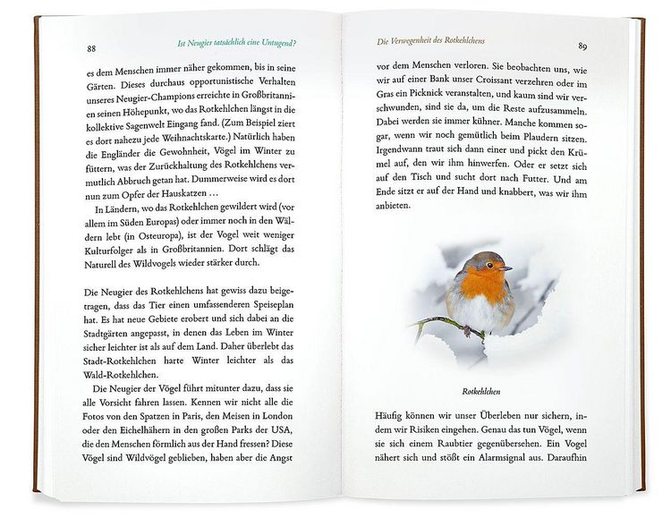 Produktbild: Kleine Philosophie der V&ouml;gel