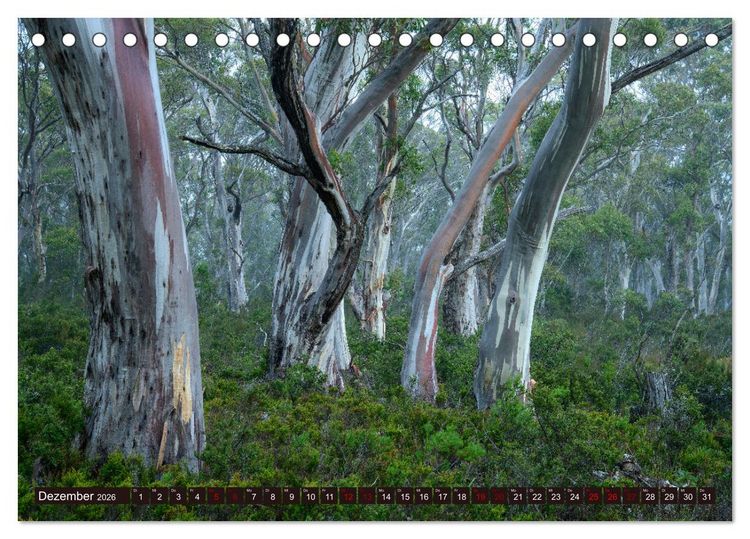Produktbild: Traumpfade Australien (Tischkalender 2026 DIN A5 quer), CALVENDO Monatskalender