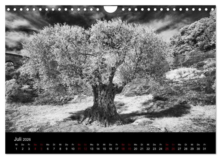 Produktbild: M&auml;rchenhaftes Frankreich (Wandkalender 2026 DIN A4 quer), CALVENDO Monatskalender