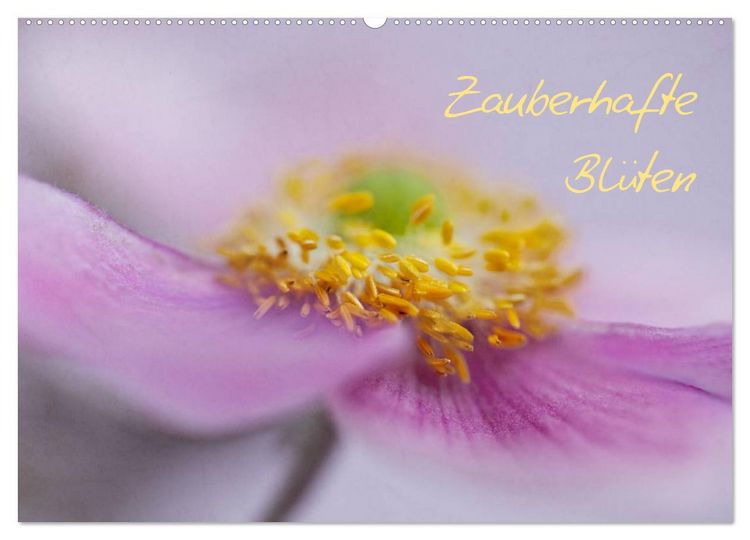 Produktbild: Zauberhafte Bl&uuml;ten (Wandkalender 2026 DIN A2 quer), CALVENDO Monatskalender