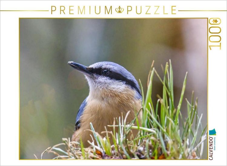 Produktbild: CALVENDO Puzzle Aufmerksamer Kleiber | 1000 Teile Lege-Gr&ouml;&szlig;e 64x48cm Foto-Puzzle f&uuml;r gl&uuml;ckliche Stunden