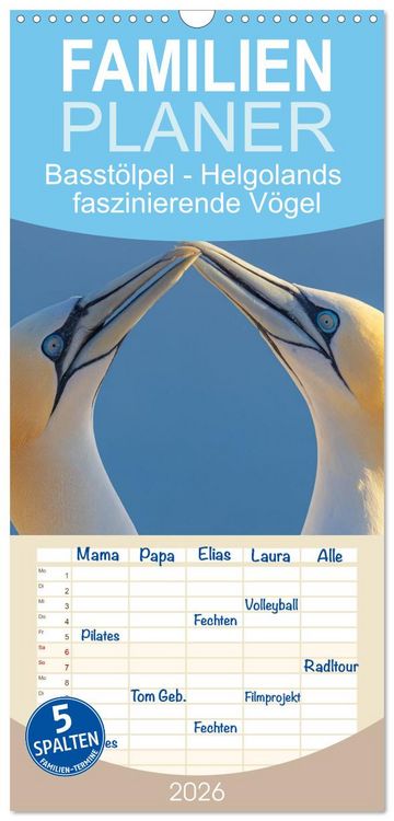 Produktbild: Familienplaner 2026 - Basst&ouml;lpel - Helgolands faszinierende V&ouml;gel mit 5 Spalten (Wandkalender, 21 x 45 cm) CALVENDO