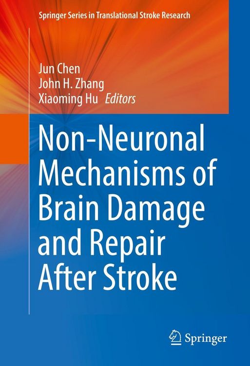 Produktbild: Non-Neuronal Mechanisms of Brain Damage and Repair After Stroke