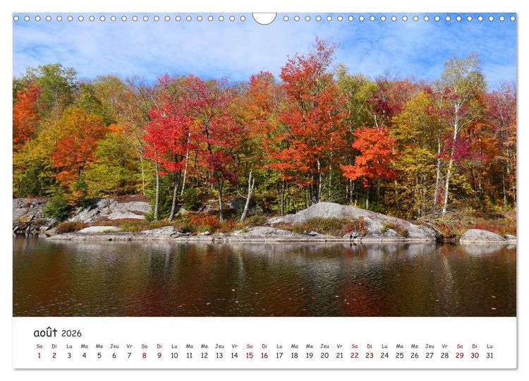 Produktbild: Automne haut en couleurs (Calendrier mural 2026 DIN A3 vertical), CALVENDO calendrier mensuel