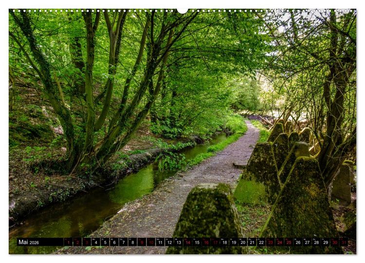 Produktbild: Wege des einfachen Gl&uuml;cks - Spazierg&auml;nge im Wald (Wandkalender 2026 DIN A2 quer), CALVENDO Monatskalender