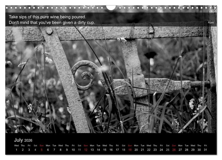 Produktbild: Through the Gate with Rumi (Wall Calendar 2026 DIN A3 landscape), CALVENDO 12 Month Wall Calendar