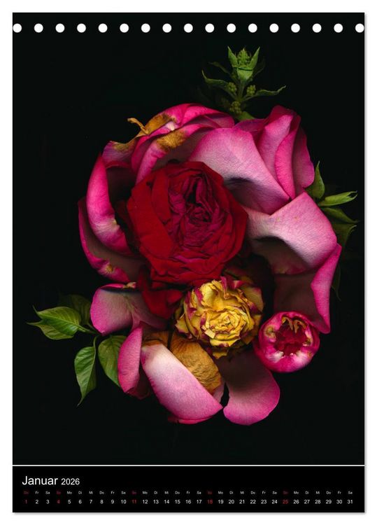 Produktbild: Blumen bei Nacht (Tischkalender 2026 DIN A5 hoch), CALVENDO Monatskalender