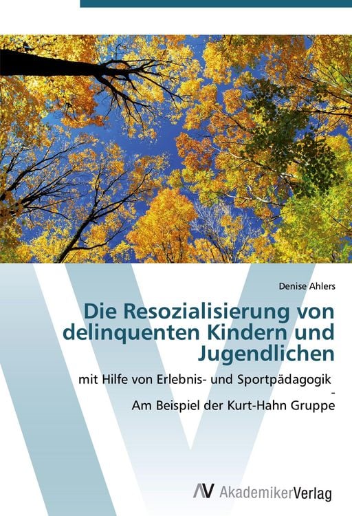 Produktbild: Die Resozialisierung von delinquenten Kindern und Jugendlichen