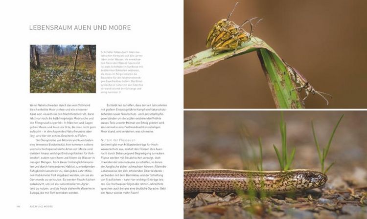 Produktbild: Verborgene Wildnis Bayern