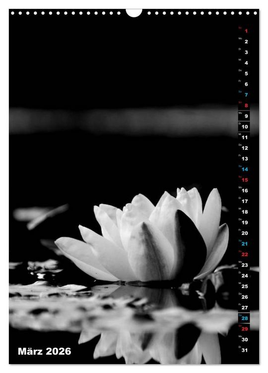 Produktbild: Blumige Graustufen - Schwarz und Wei&szlig; (Wandkalender 2026 DIN A3 hoch), CALVENDO Monatskalender