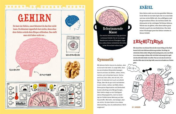 Produktbild: Vom Kopf bis zu den Zehen &ndash; Eine verr&uuml;ckte Reise durch deinen K&ouml;rper