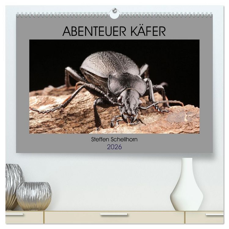 Produktbild: ABENTEUER K&Auml;FER (hochwertiger Premium Wandkalender 2026 DIN A2 quer), Kunstdruck in Hochglanz