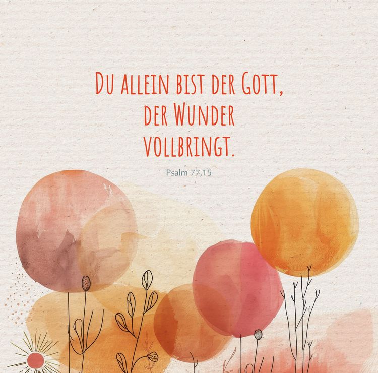 Produktbild: Gottes Wort f&uuml;r mich