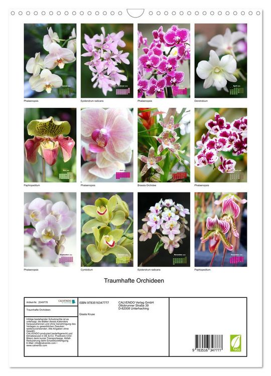 Produktbild: Traumhafte Orchideen (Wandkalender 2026 DIN A3 hoch), CALVENDO Monatskalender