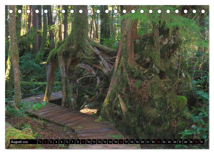 Produktbild: Vancouver - Vancouver Island - Seattle (Tischkalender 2026 DIN A5 quer), CALVENDO Monatskalender