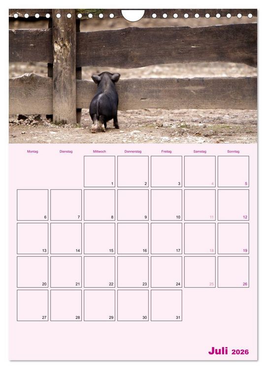 Produktbild: Schweinischer Terminplaner (Wandkalender 2026 DIN A4 hoch), CALVENDO Monatskalender