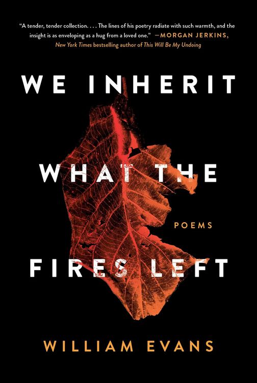 Produktbild: We Inherit What the Fires Left