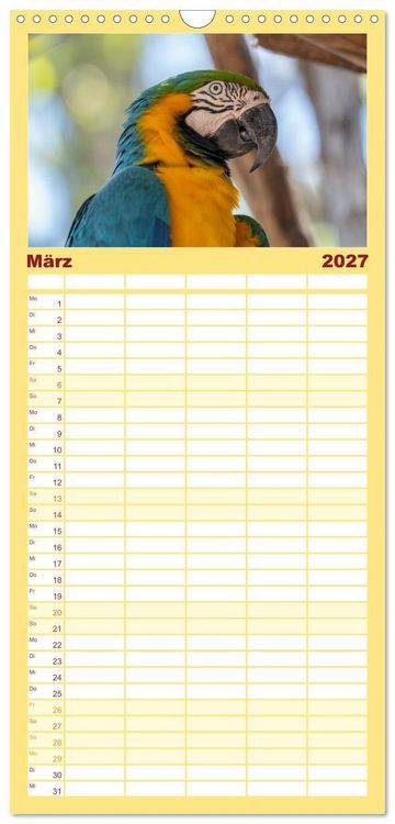 Produktbild: Familienplaner 2027 - Aras und bunte Sittiche: Exotische Papageien-Portr&auml;ts mit 5 Spalten (Wandkalender, 21 x 45 cm) CALVENDO