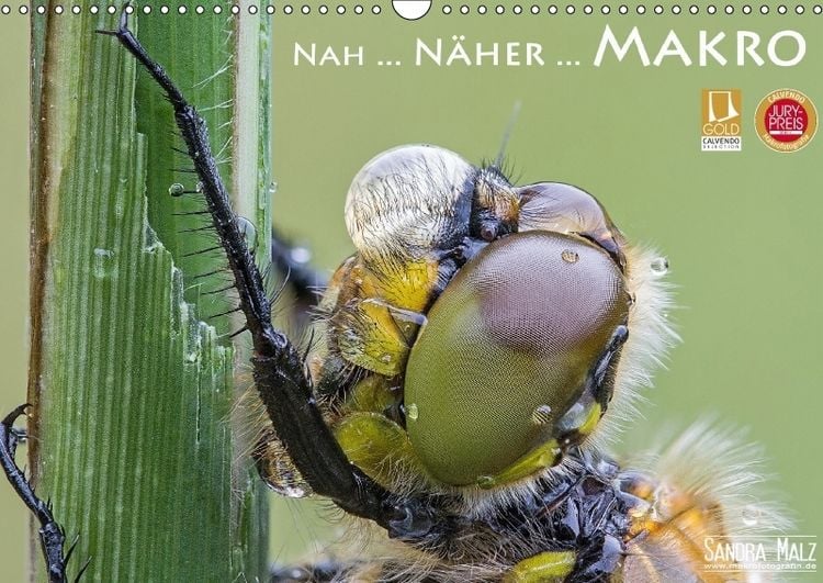 Produktbild: Nah ... N&auml;her ... MAKRO (Wandkalender immerw&auml;hrend DIN A3 quer)