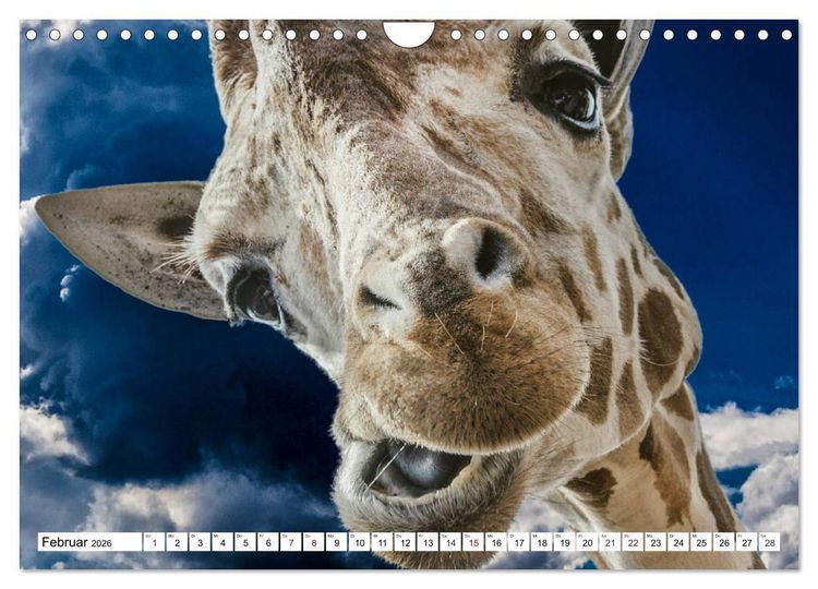 Produktbild: Lustige Tier-Selfies. Tierische Selbstportraits (Wandkalender 2026 DIN A4 quer), CALVENDO Monatskalender