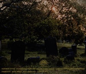 Produktbild: Departed Souls