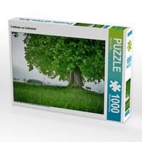 Produktbild: CALVENDO Puzzle Feldlinde vor Dollnstein 1000 Teile Lege-Gr&ouml;&szlig;e 64 x 48 cm Foto-Puzzle Bild von Markus Treffer