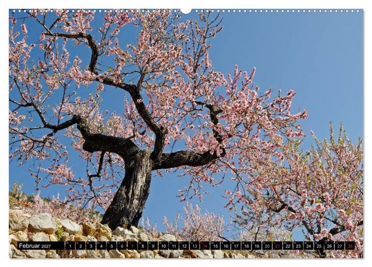 Produktbild: Costa Blanca - Spaniens wei&szlig;e K&uuml;ste (hochwertiger Premium Wandkalender 2027 DIN A2 quer), Kunstdruck in Hochglanz
