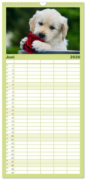 Produktbild: Familienplaner 2026 - Das Gl&uuml;ck hat einen Namen - Golden Retriever mit 5 Spalten (Wandkalender, 21 x 45 cm) CALVENDO